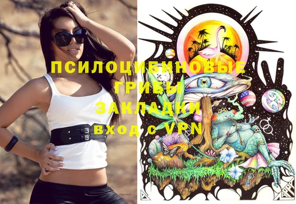 прущая мука Алзамай